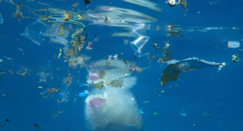 Milioni di tonnellate di nanoplastiche stanno invadendo gli oceani